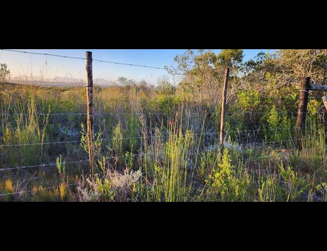 FARM FOR SALE IN STILBAAI RURAL